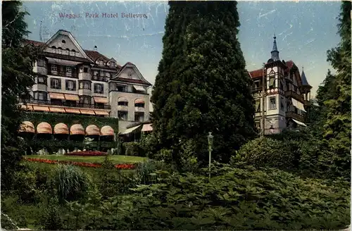 Weggis - Park Hotel Bellevue -273786