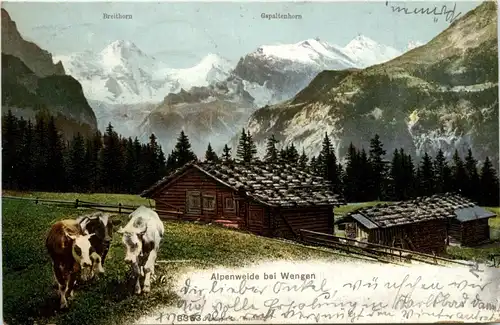 Alpeneide bei Wengen -274068