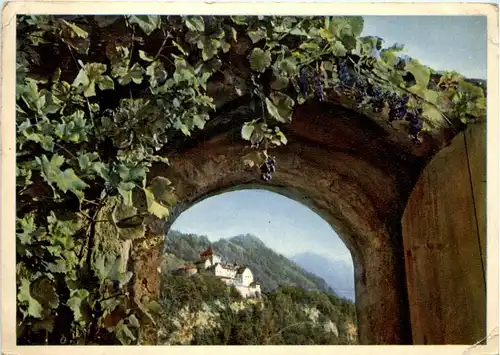 Castle Vaduz -273932