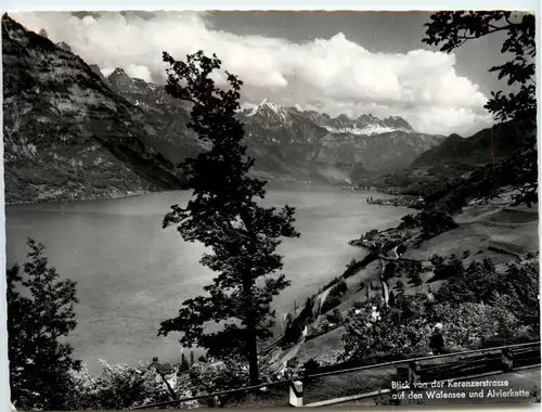 blick von der Kerenzerstrasse auf den Walensee -274630