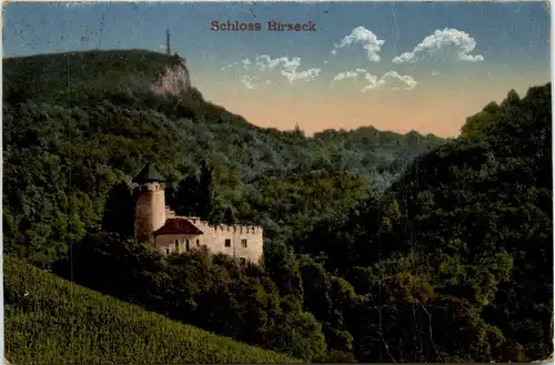 Arlesheim - Schloss Birseck -275032