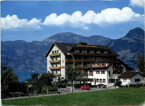 Beckenried - Sternen Hotel am See -274454