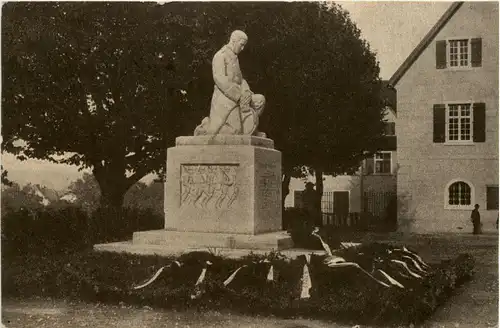 Thurgauisches Soldatendenkmal in Frauenfeld -275670