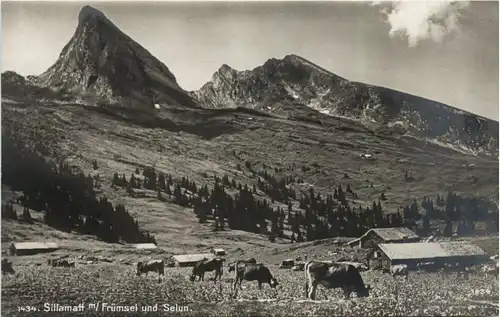 Sillamatt mit Frümsel und Selun -276954