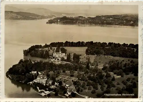 Hertenstein - Fliegeraufnahme -275764