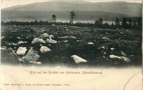 Blick auf den Brocken vom Achtermann -33818