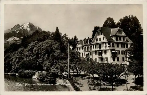 Hotel Pension Hertenstein -275636