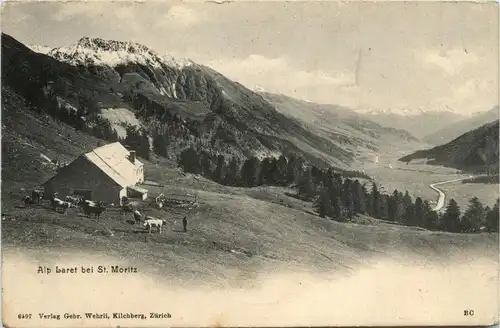 Alp Laret bei St. Moritz -275962