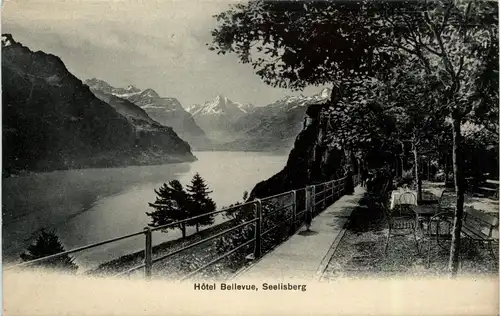 Seelisberg - Hotel Bellevue -276888
