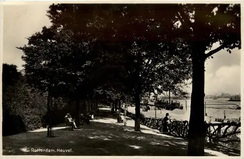 Rotterdam - Heuvel -241744