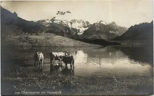 Oberblegisee mit Hausstock -276948