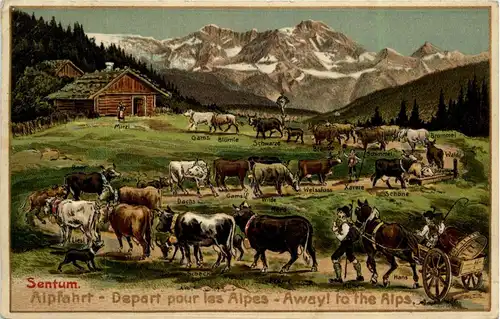 Alpfahrt - Litho -276744