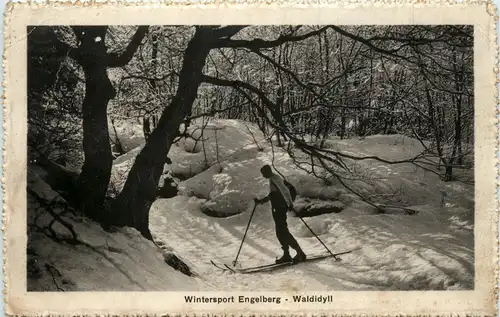 Wintersport Engelberg - Ski -275590