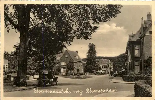 Bloemendaal - Bloemendaalsche Weg -241770