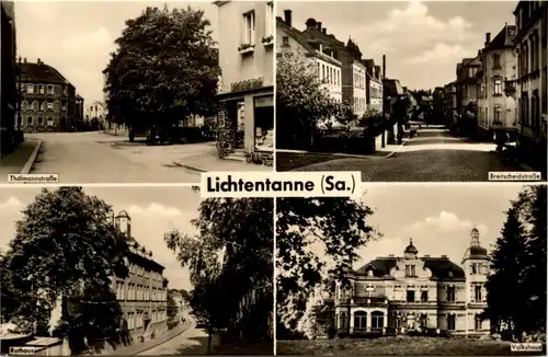 Lichtentanne -242928