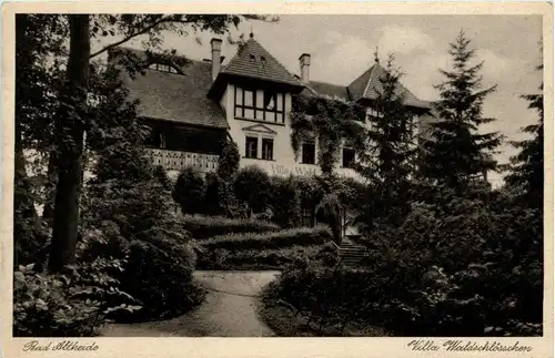 Bad Altheide - Villa Waldschlösschen -242456