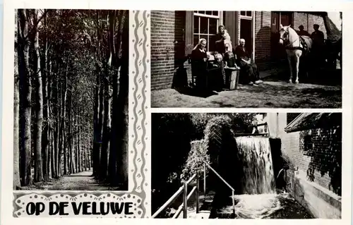 Op de Veluwe -241946