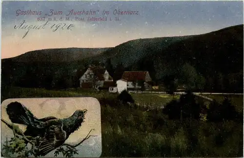 Zellerfeld - Gasthaus Zum Auerhahn -243690