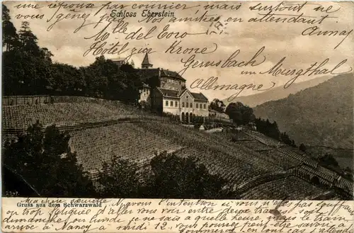 Gruss aus dem Schwarzwald - Schloss Eberstein -242406