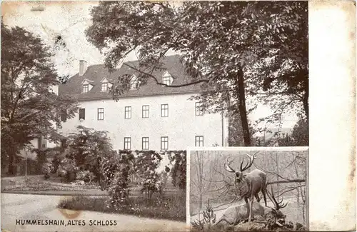 Hummelshain/Thür. - Altes Schloss -301544