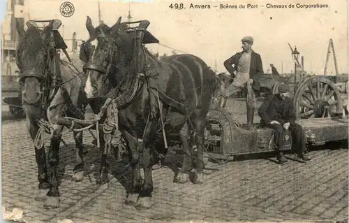 Anvers - Chevaux de Corporations -242514