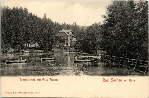 Bad Sachsa - Schmelzteich -243280