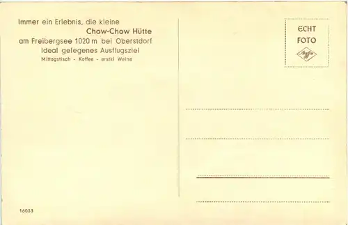 Kongo vom Hendrickshof - Chow-Chow - Oberstdorf -241404