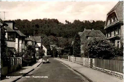 Bad Liebenstein in Thüringen - Puschkinstrasse -242924