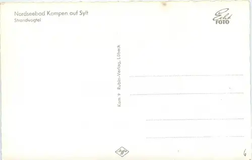 Kampen auf Sylt -243712