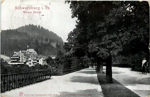 Saalfeld/Saale - Schwarzburg - Weisser Hirsch -302448