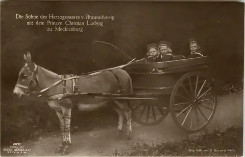 Die Söhne des Herzogs von Braunschweig -245436