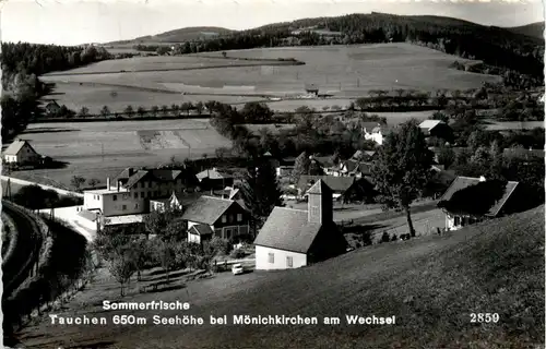 Sommerfrische Tauchen bei Mönichkirchen am Wechsel, -311918