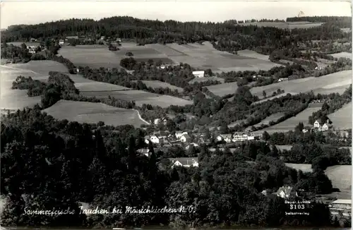 Sommerfrische Tauchen bei Mönichkirchen a. Wechsel, div.Bilder -311958