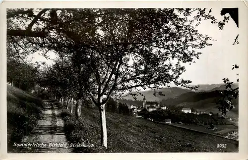 Steiermark - Sommerfrische Birkfeld -303438