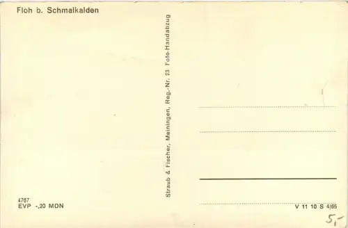 Floh bei Schmalkalden -245086