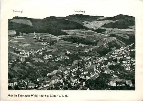 Floh bei Schmalkalden -245010