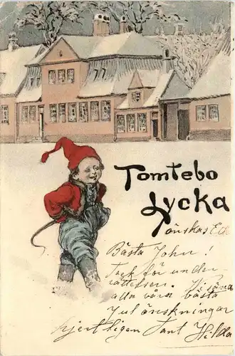 Tomtebo Lycka -243454