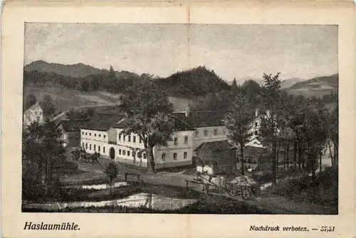 Birkfeld/Steiermark - Haslaumühle -304322