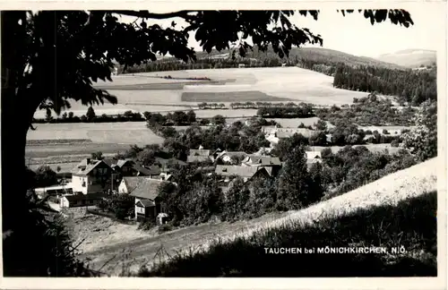 Sommerfrische Tauchen bei Mönichkirchen a. Wechsel, -311948
