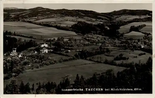 Sommerfrische Tauchen bei Mönichkirchen a. Wechsel, -311988