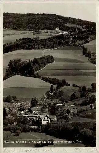 Sommerfrische Tauchen bei Mönichkirchen a. Wechsel, -311972