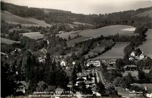 Sommerfrische Tauchen bei Mönichkirchen am Wechsel, -311920