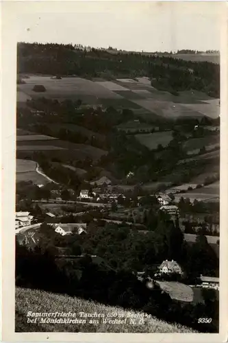 Sommerfrische Tauchen bei Mönichkirchen a. Wechsel, -311942