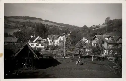 Sonstige Niederösterreich - Tauchen bei Mönichkirchen -313100