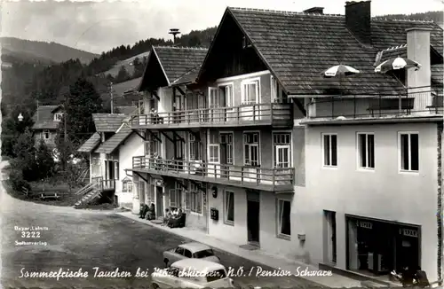 Tauchen bri Mönichkirchen, Pension Schwarz -313138