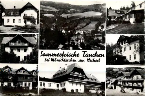 Sonstige Niederösterreich - Sommerfrische Tauchen bei Mönichkirchen am Wechsel, div.Bilder -311892