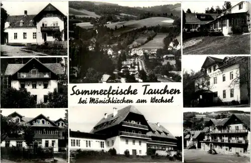 Sommerfrische Tauchen bei Mönichkirchen a. Wechsel, div.Bilder -311956