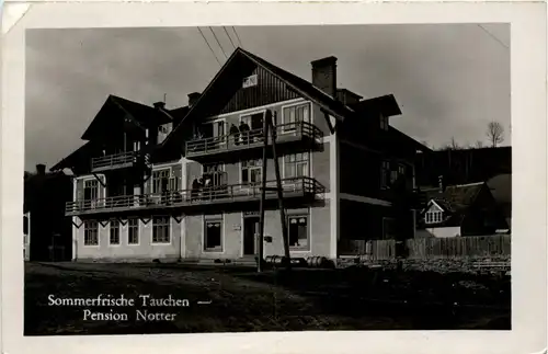 Sommerfrische Tauchen bei Mönichkirchen am Wechsel, Pension Notter -313348