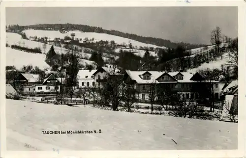 Sommerfrische Tauchen bei Mönichkirchen a. Wechsel, -311934