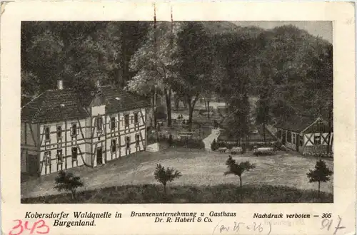 Kobersdorfer Waldquelle, Brunnenunternehmung und Gasthaus Dr. R. Haberl & Co. -312050